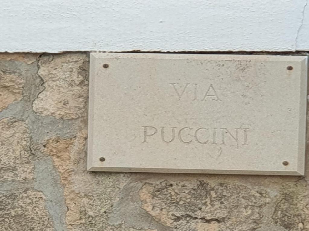 PUCCINI 3 (Ciutadella De Menorca)