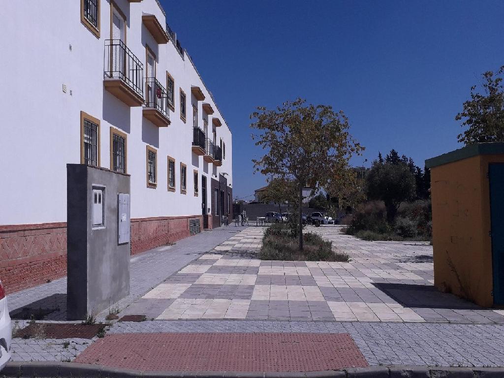 PZ ALMADEN DE LA PLATA 1_MAIRENA DEL ALCOR_SEVILLA (Mairena Del Alcor)