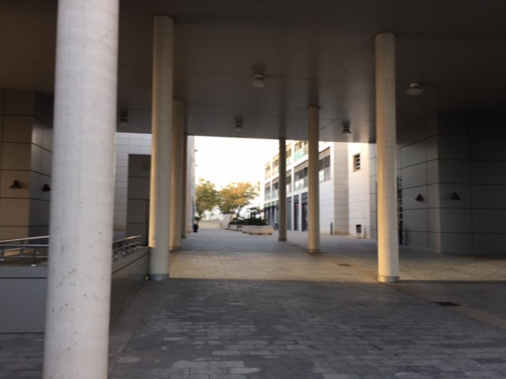OFICINAS – ELCHE-Elche/Elx