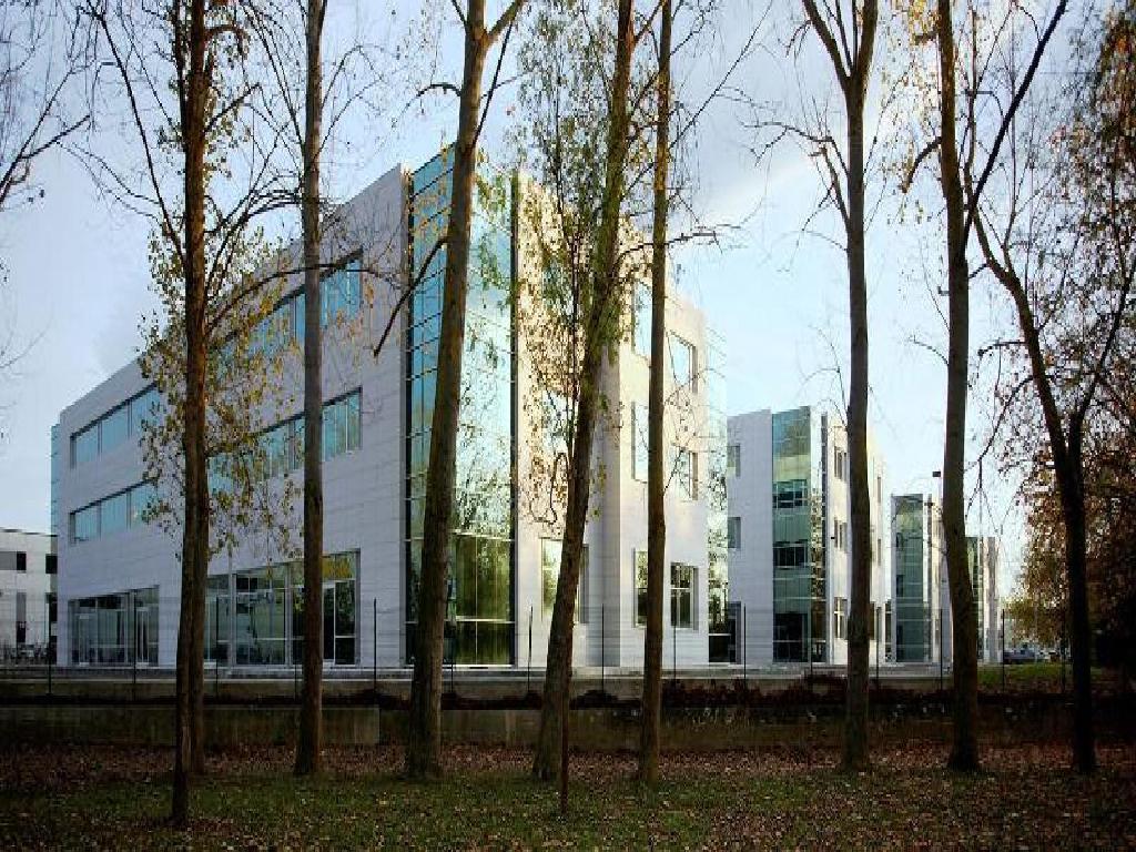 5 OFICINAS EN VITORIA - GASTEIZ (Vitoria/Gasteiz)