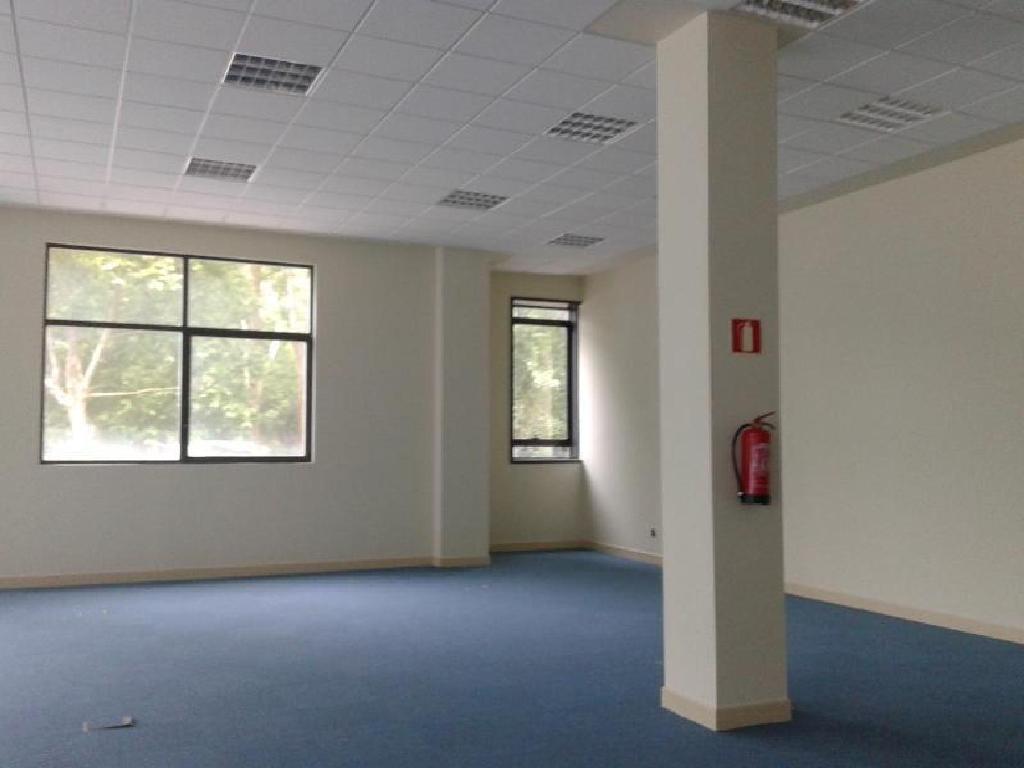 5 OFICINAS EN VITORIA - GASTEIZ-Vitoria/Gasteiz