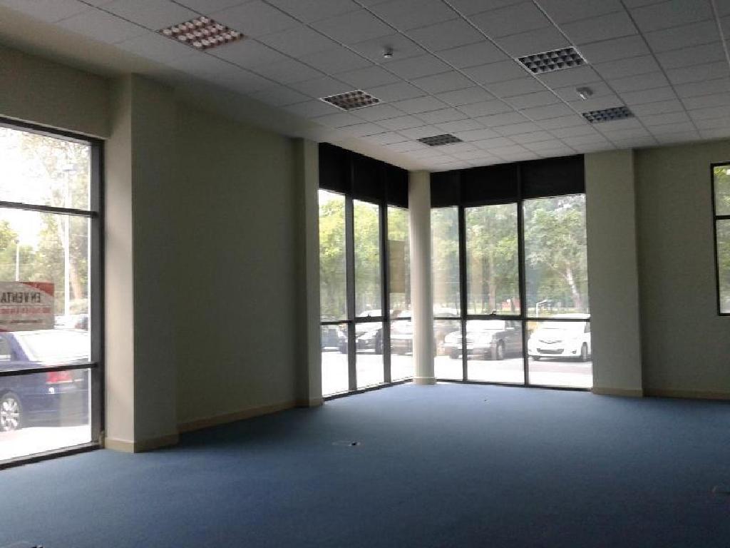 5 OFICINAS EN VITORIA - GASTEIZ-Vitoria/Gasteiz
