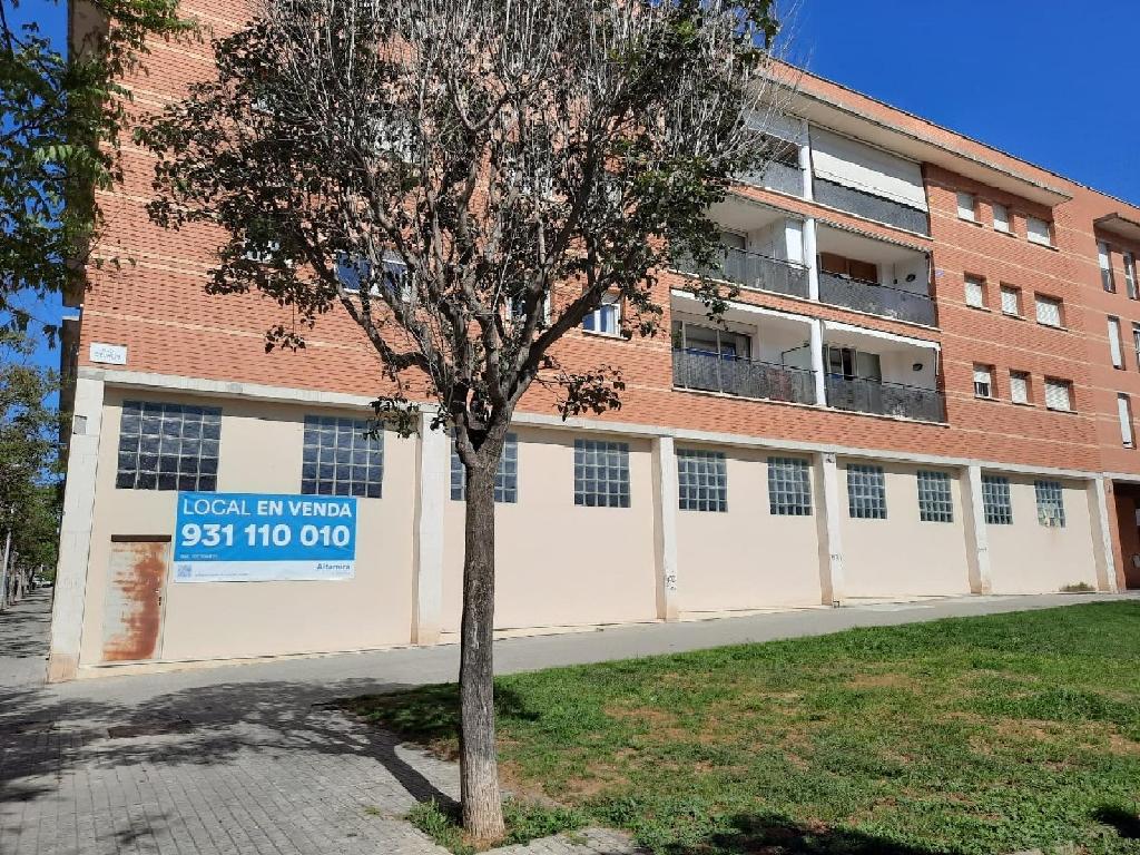 CARME AMAYA  (La Llagosta)