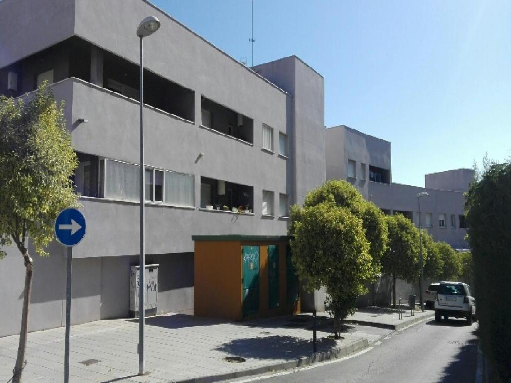 4 LOC, 48 VVDAS Y 3 GR EN ALGECIRAS (Algeciras)