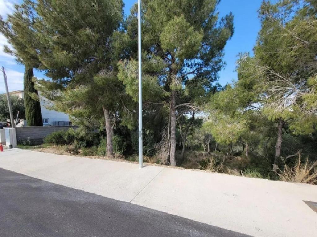 Suelo urbano consolidado en Roda de Bar&agrave;, Tarragona (Roda De Bara)