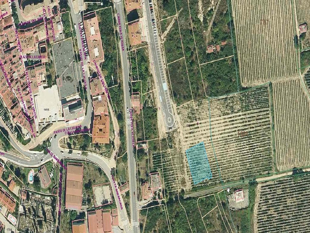GRUPO INMOBILIARIO PINEDO FINCA 18262 (Laguardia)