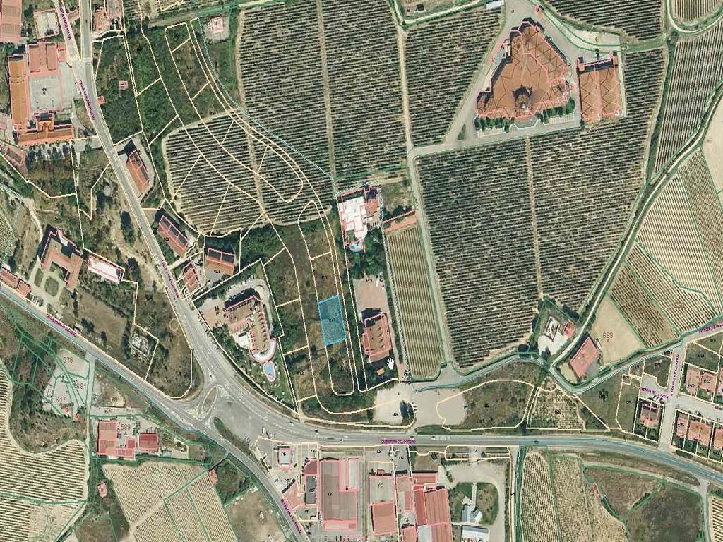 GRUPO INMOBILIARIO PINEDO FINCA 18262 (Laguardia)