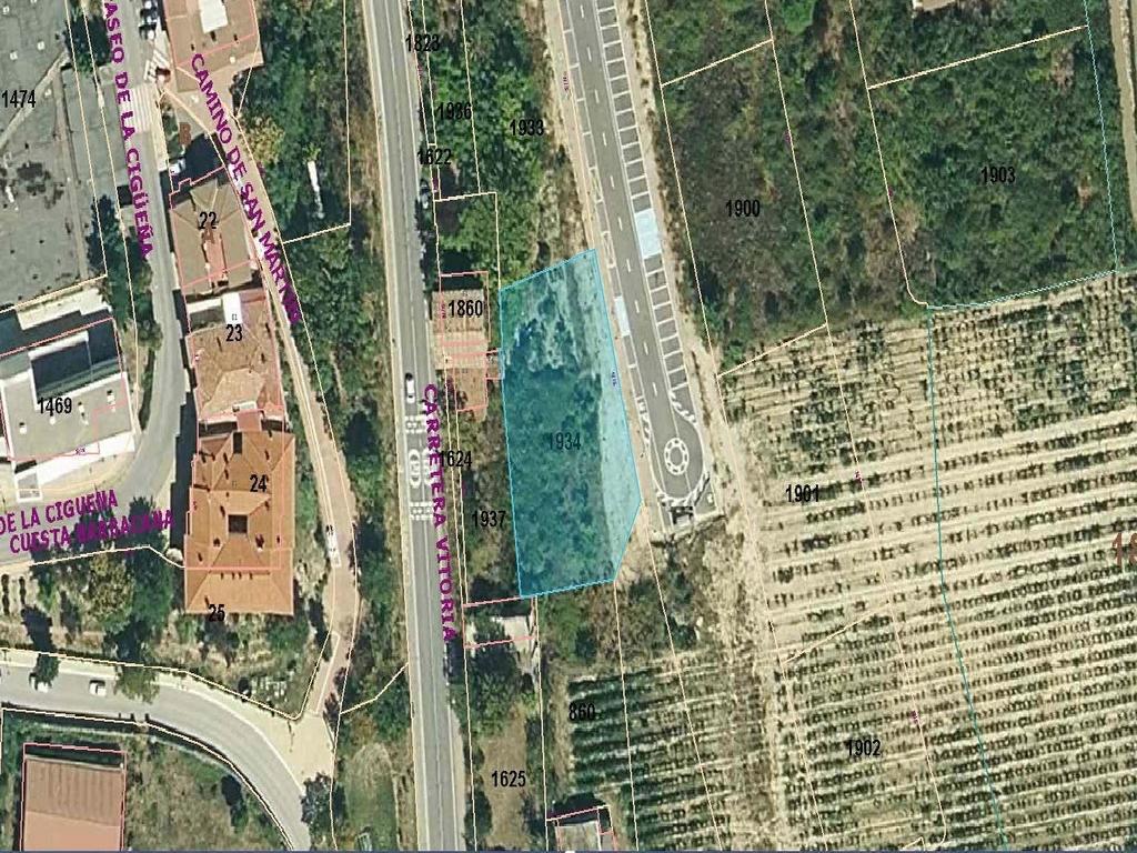 GRUPO INMOBILIARIO PINEDO FINCA 18262 (Laguardia)