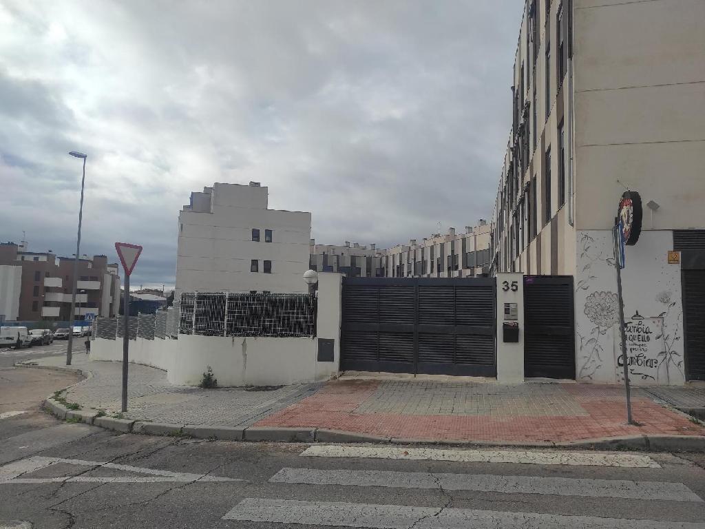 SANTIAGO RUSI&Ntilde;OL  Y TIZIANO  (Valdemoro)