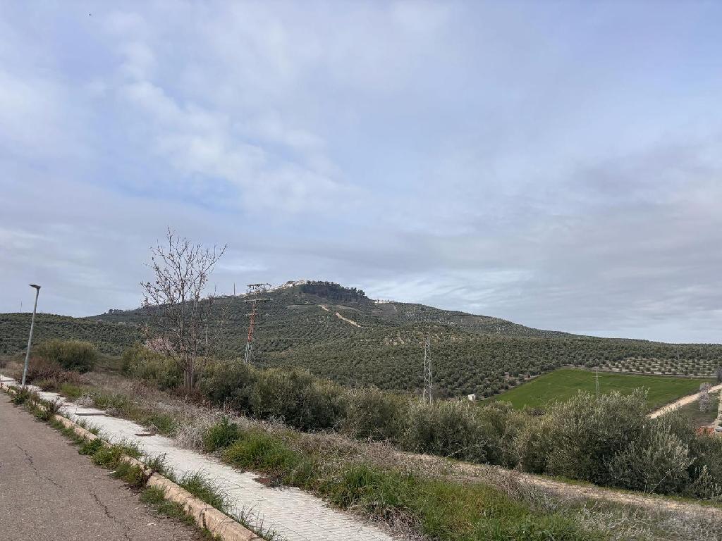 Suelo sito en Villanueva del Arzobispo (Villanueva Del Arzobispo)