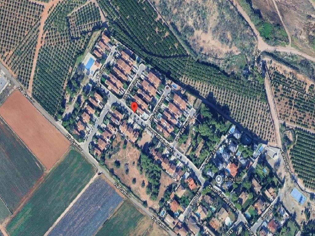 Betera