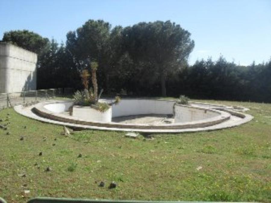 Hotel-Alarcon-00107847