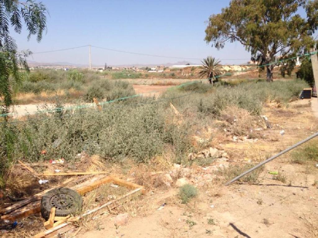 Cuevas Del Almanzora