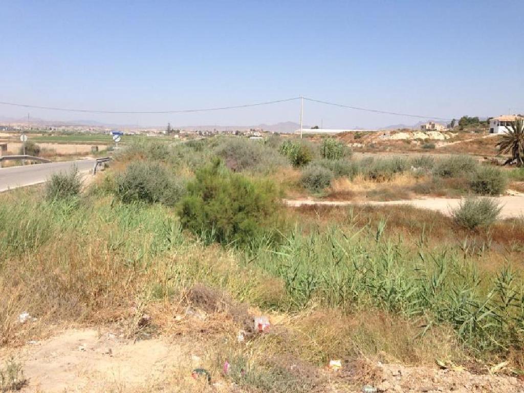 Cuevas Del Almanzora