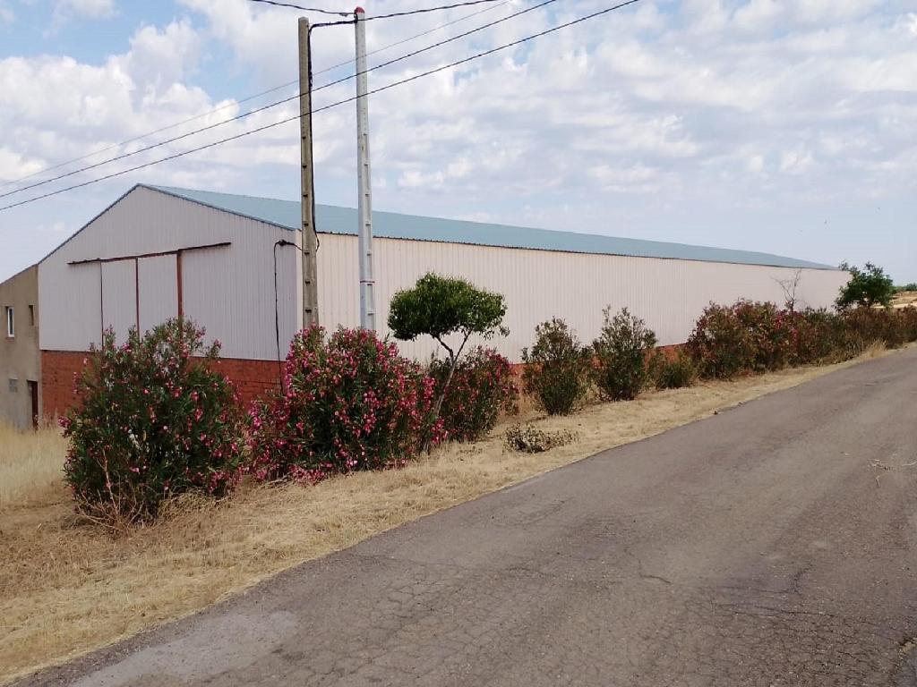 Sancti Spiritus