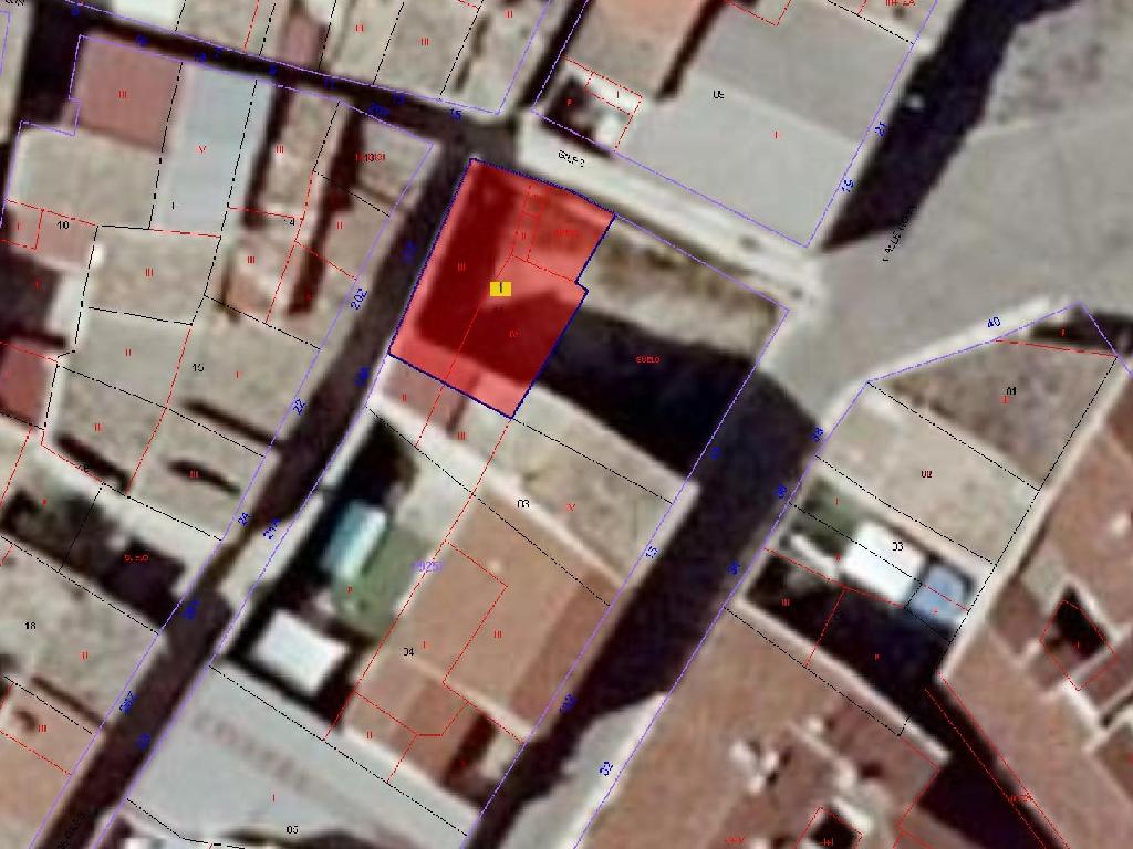 Magallon