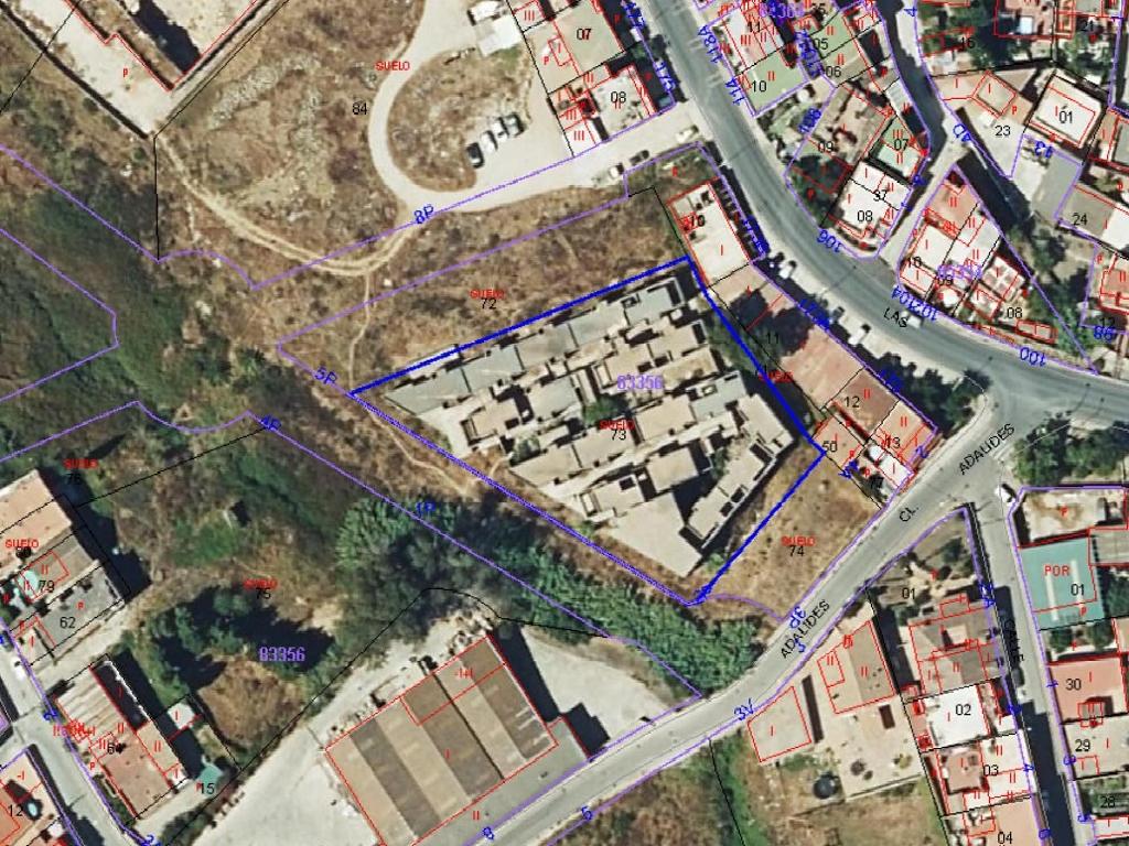Algeciras