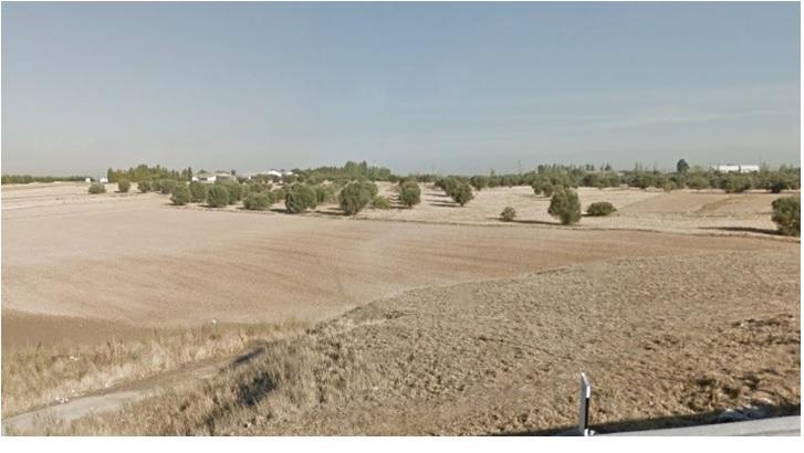 Mostoles