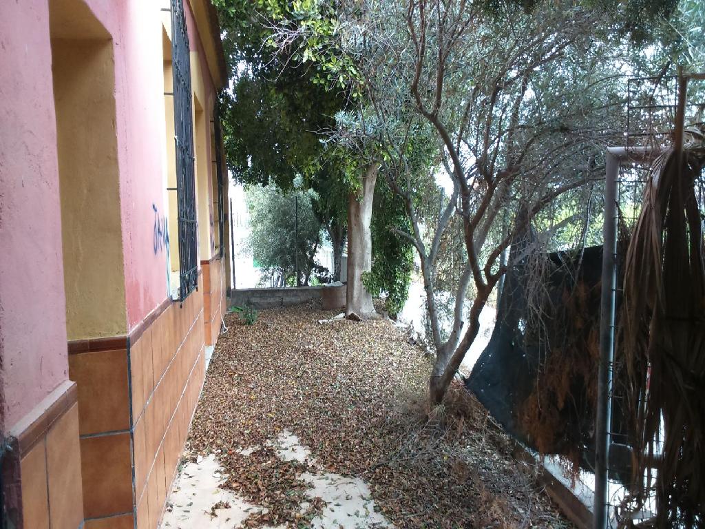 Orihuela