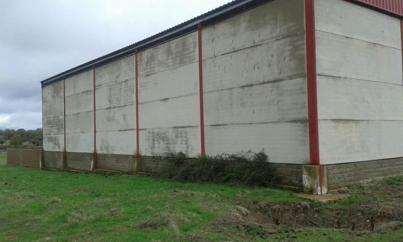 Bañobarez
