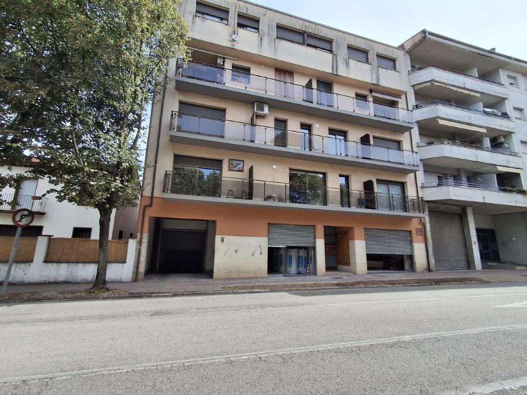Olot