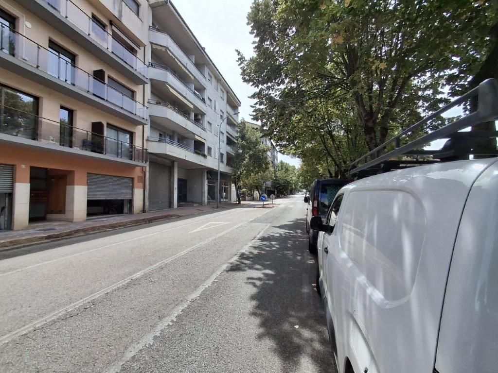 Olot