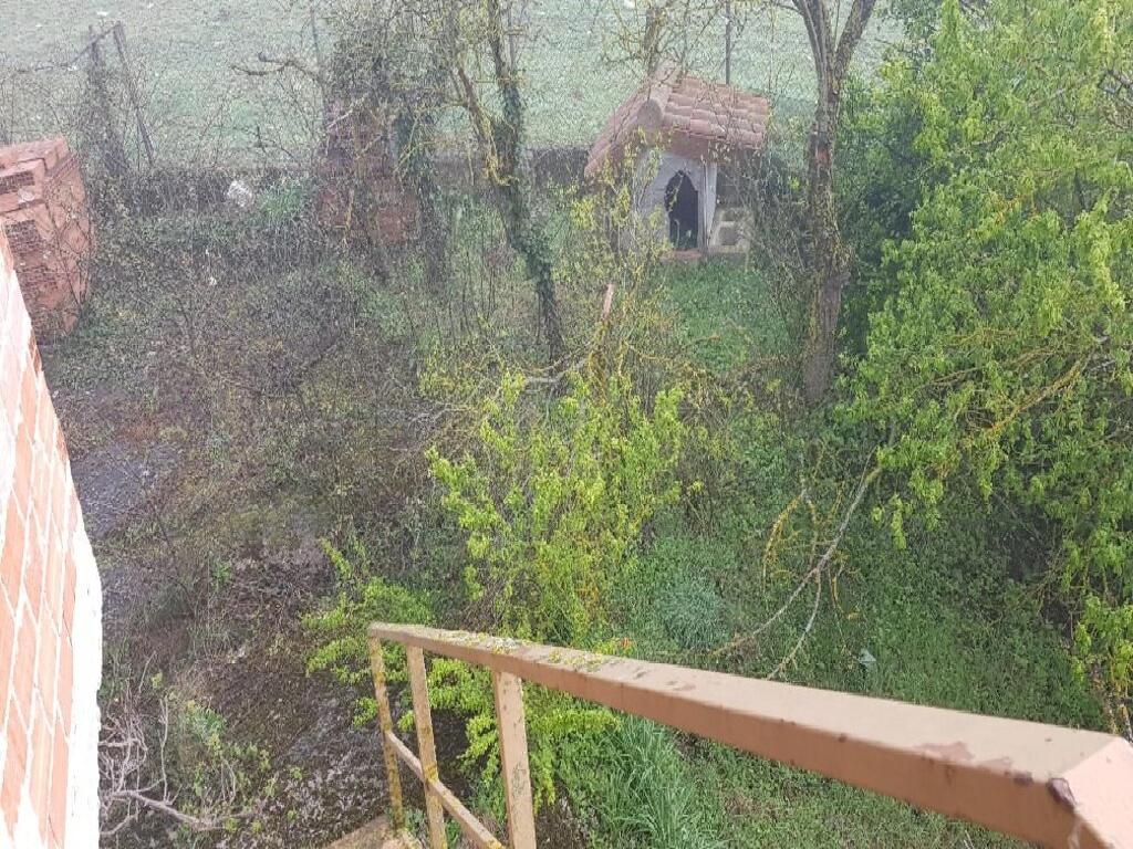 Barrundia