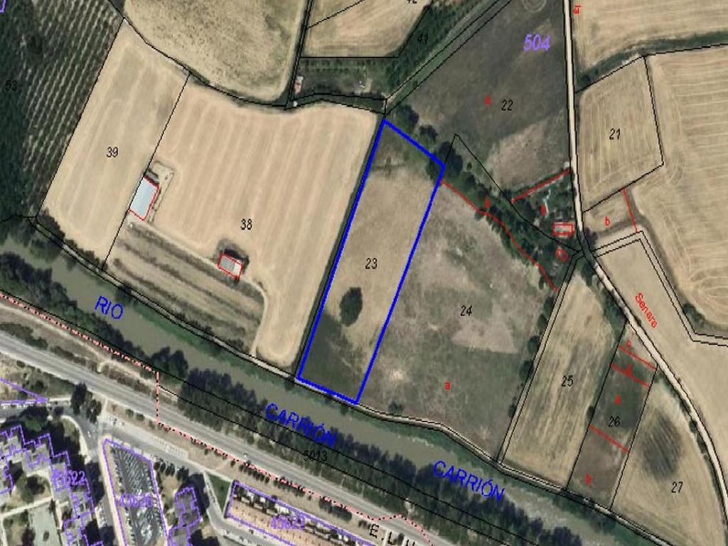 LA SENARA Polígono 504 Parcelas 23 y 27 (Villamuriel De Cerrato)