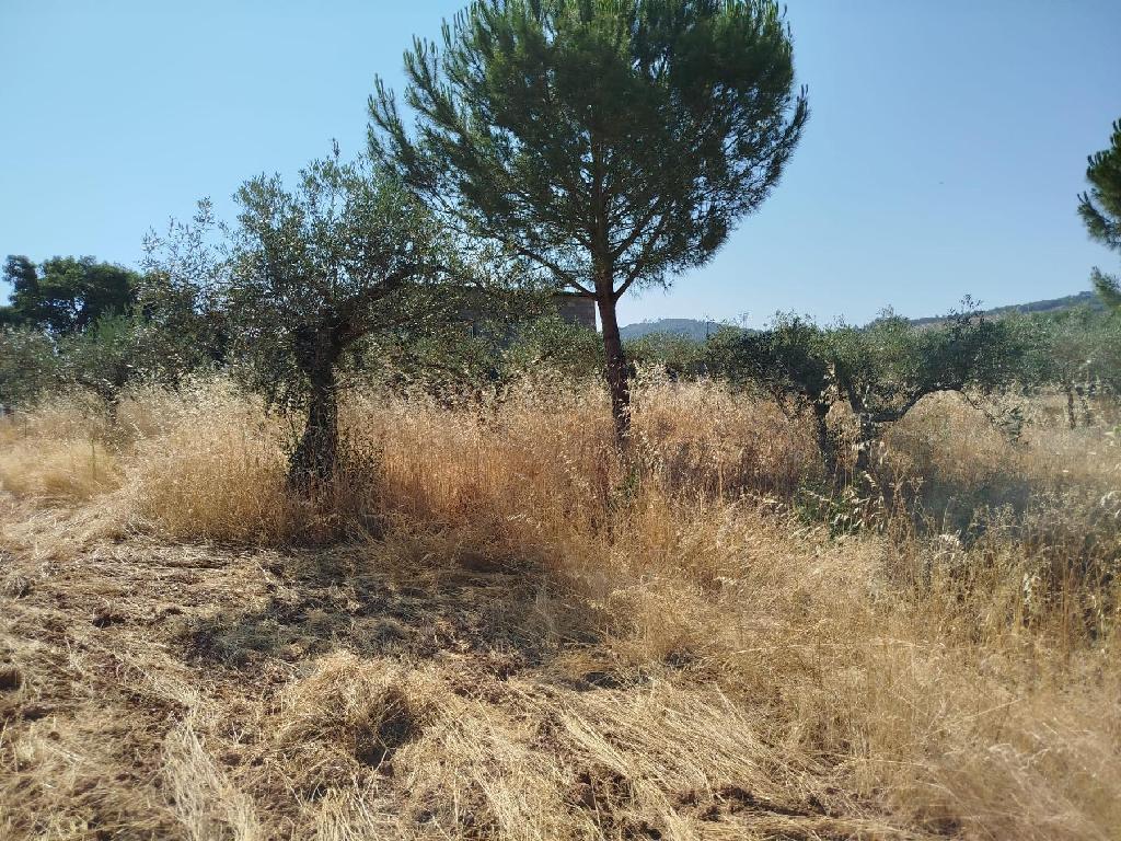Puebla De Obando