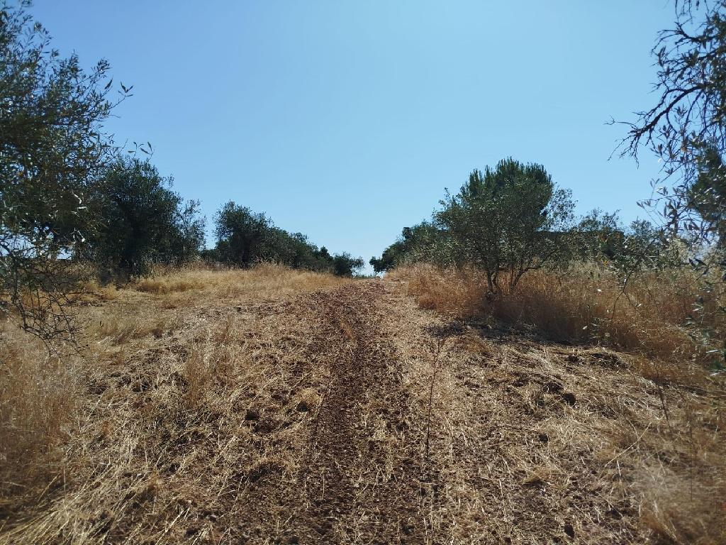 Puebla De Obando