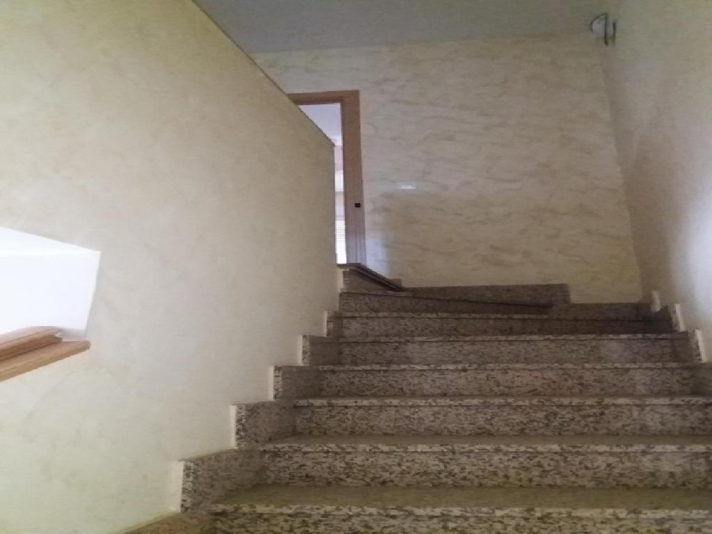 Ciruelos