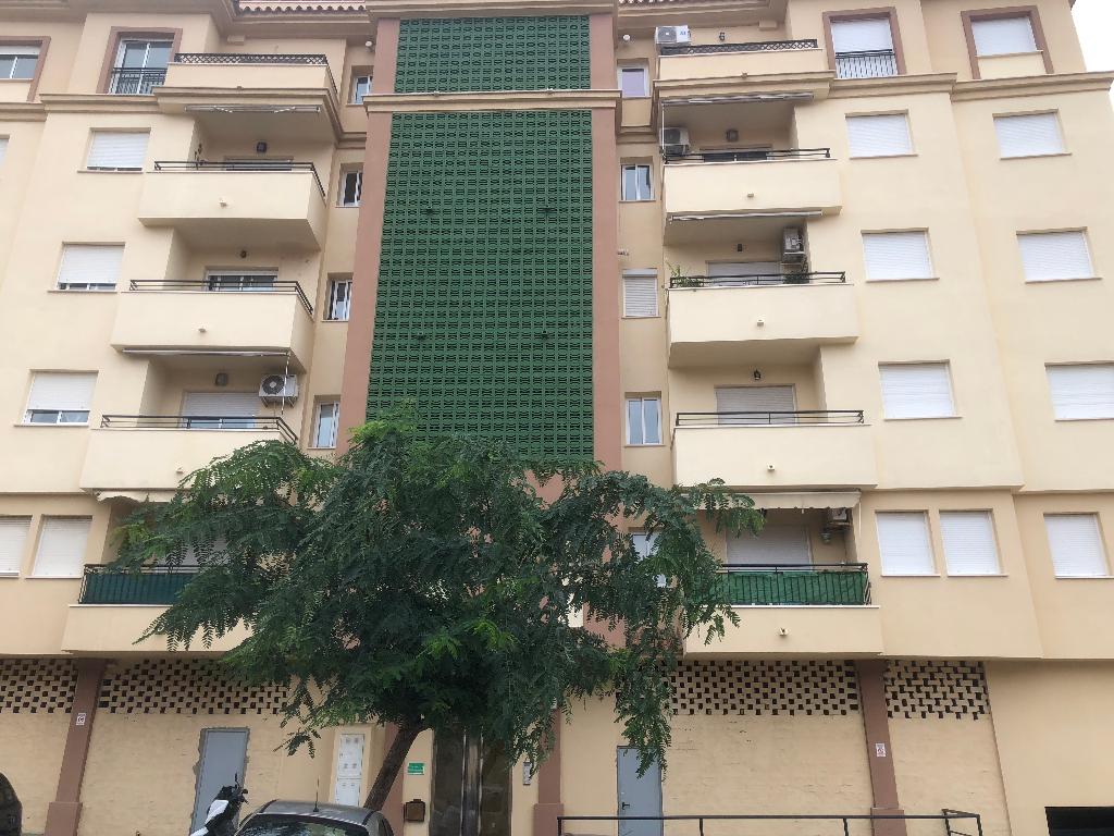Algeciras