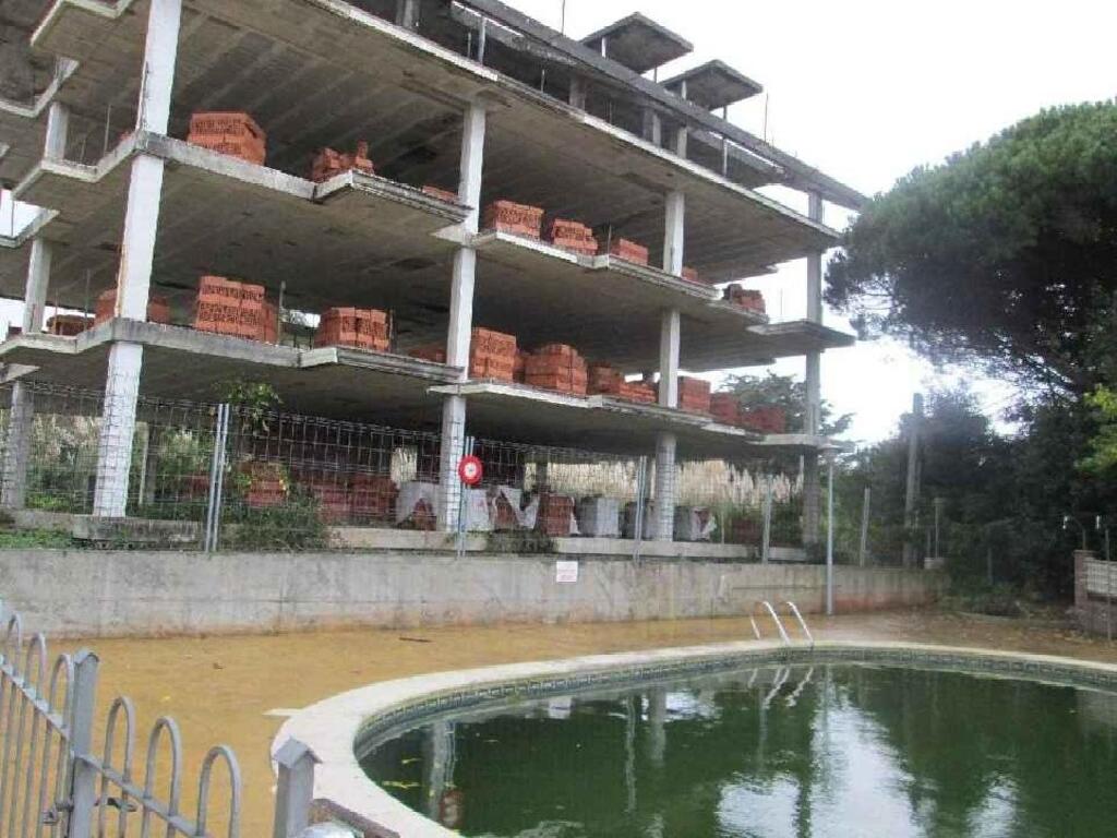 Noja