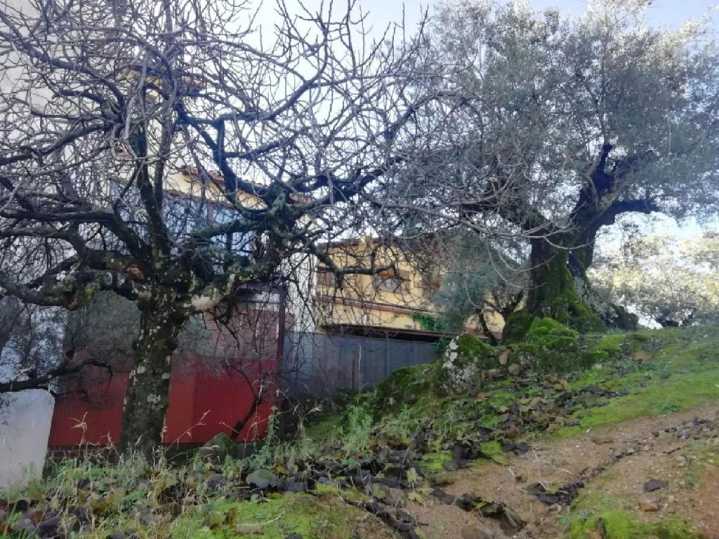Hotel-Cuacos De Yuste-30000483