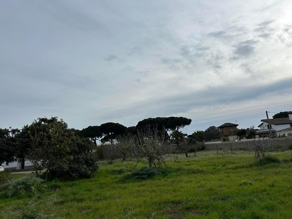 Chiclana De La Frontera