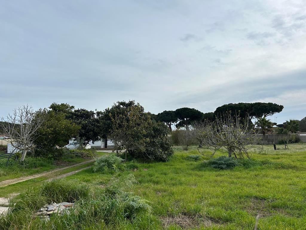 Chiclana De La Frontera