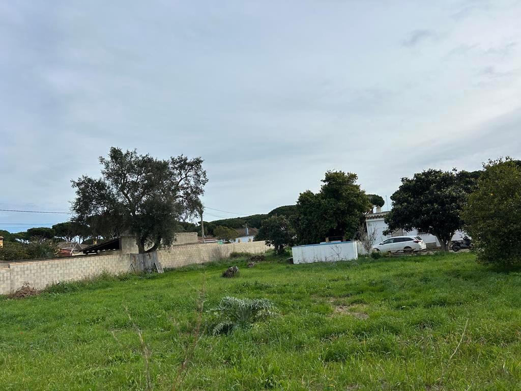 Chiclana De La Frontera