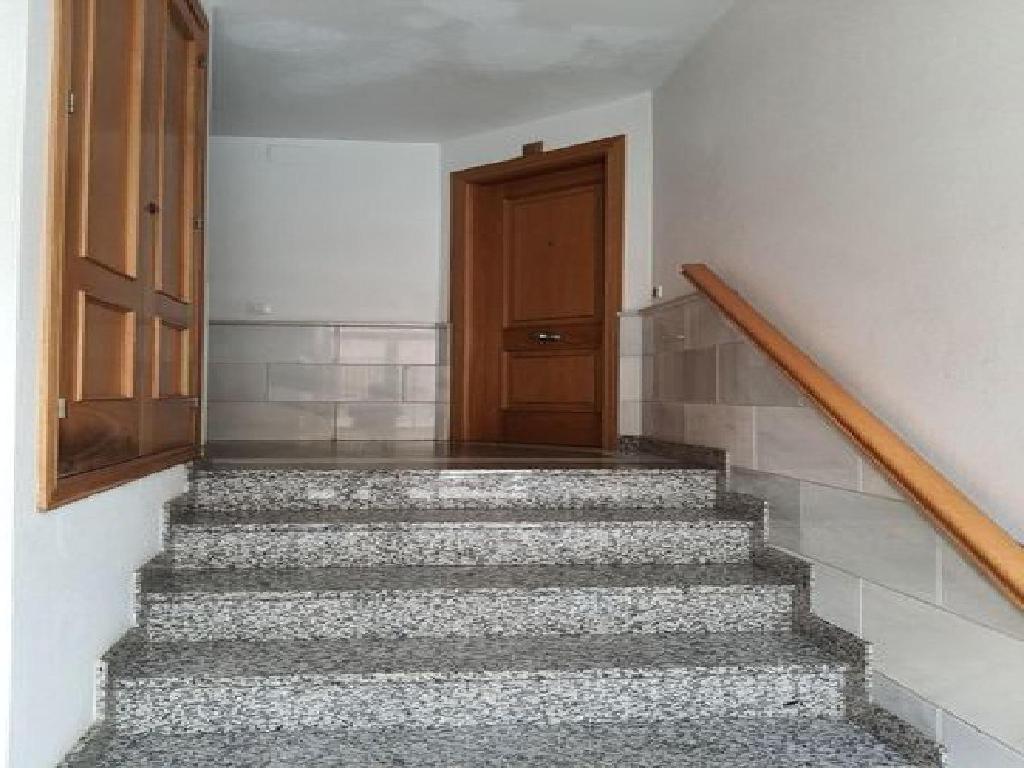 El Ejido