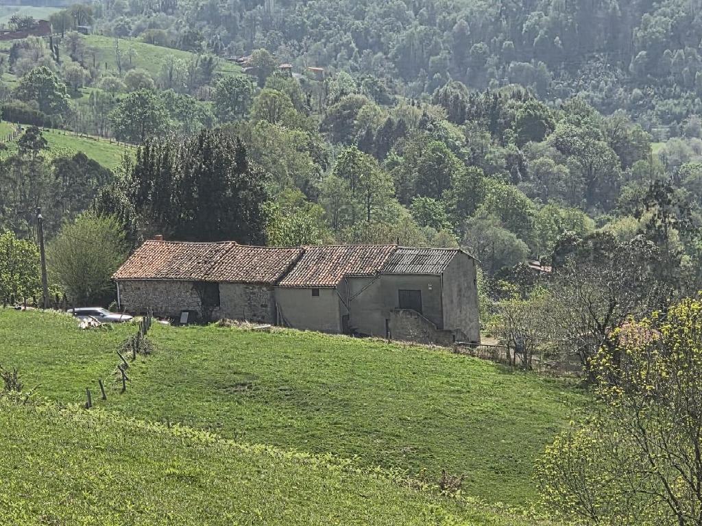 Bimenes