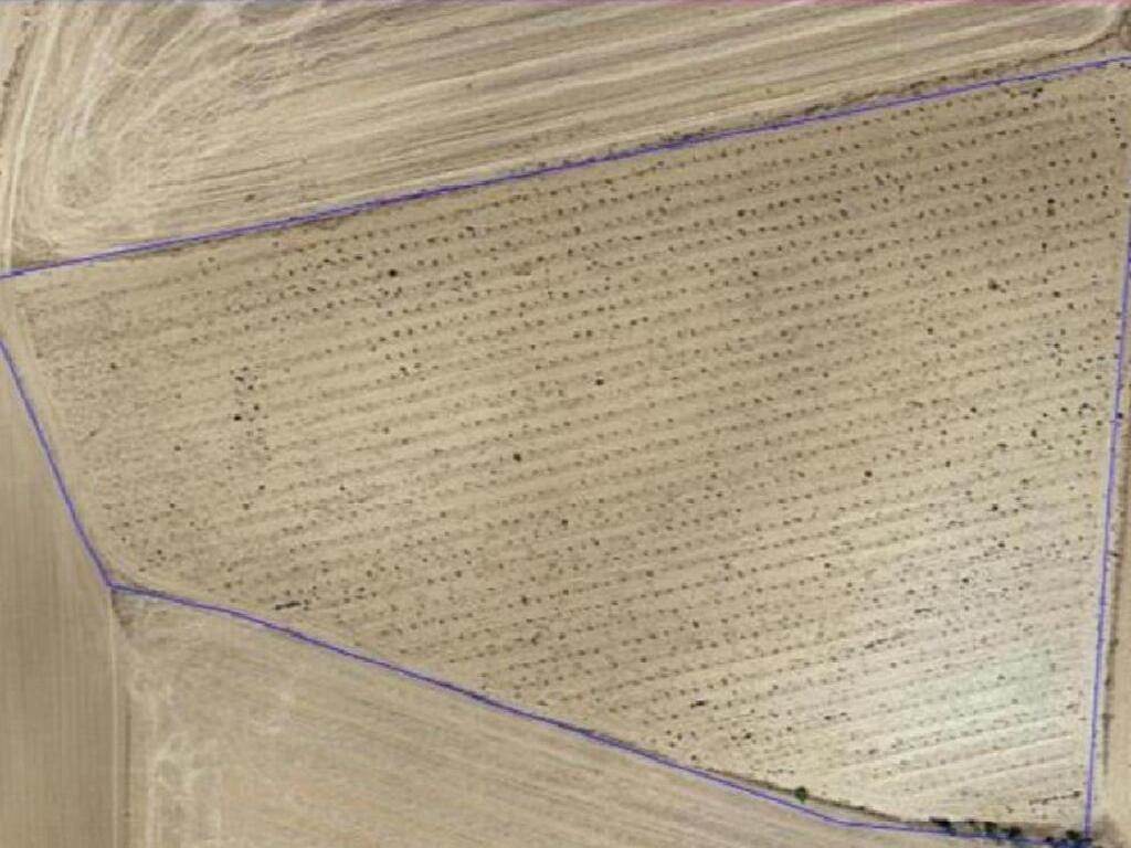 Villamayor De Santiago