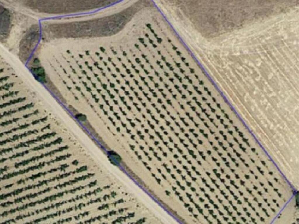 Villamayor De Santiago