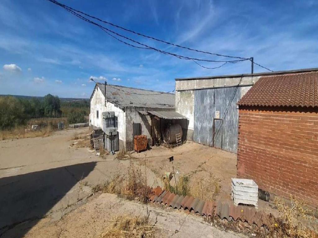 Cimanes Del Tejar