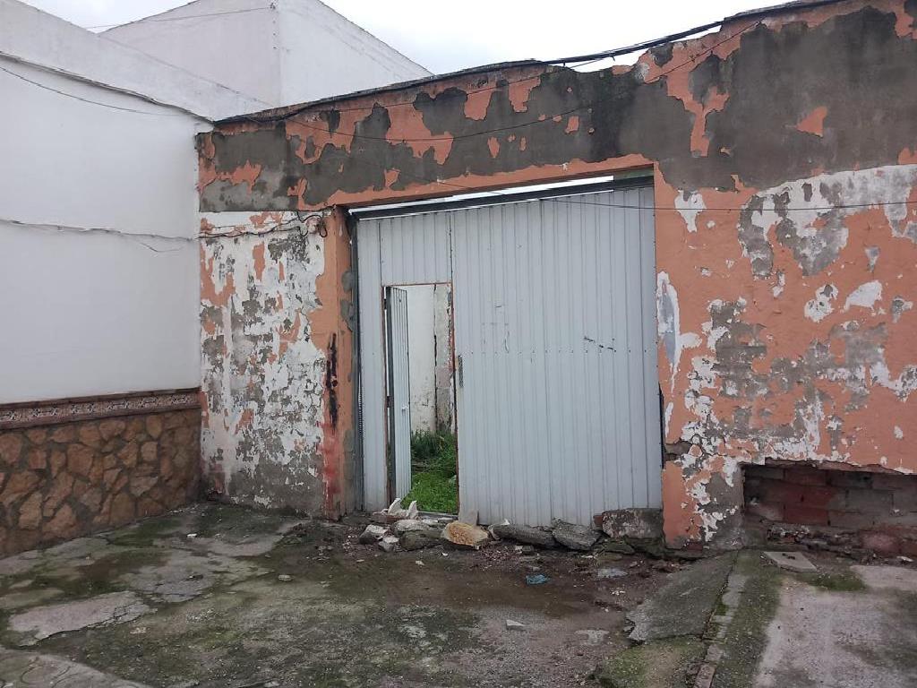 La Linea De La Concepcion