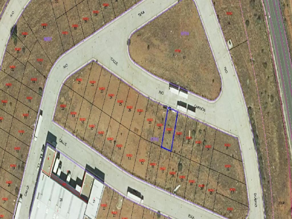 Do&ntilde;inos De Salamanca