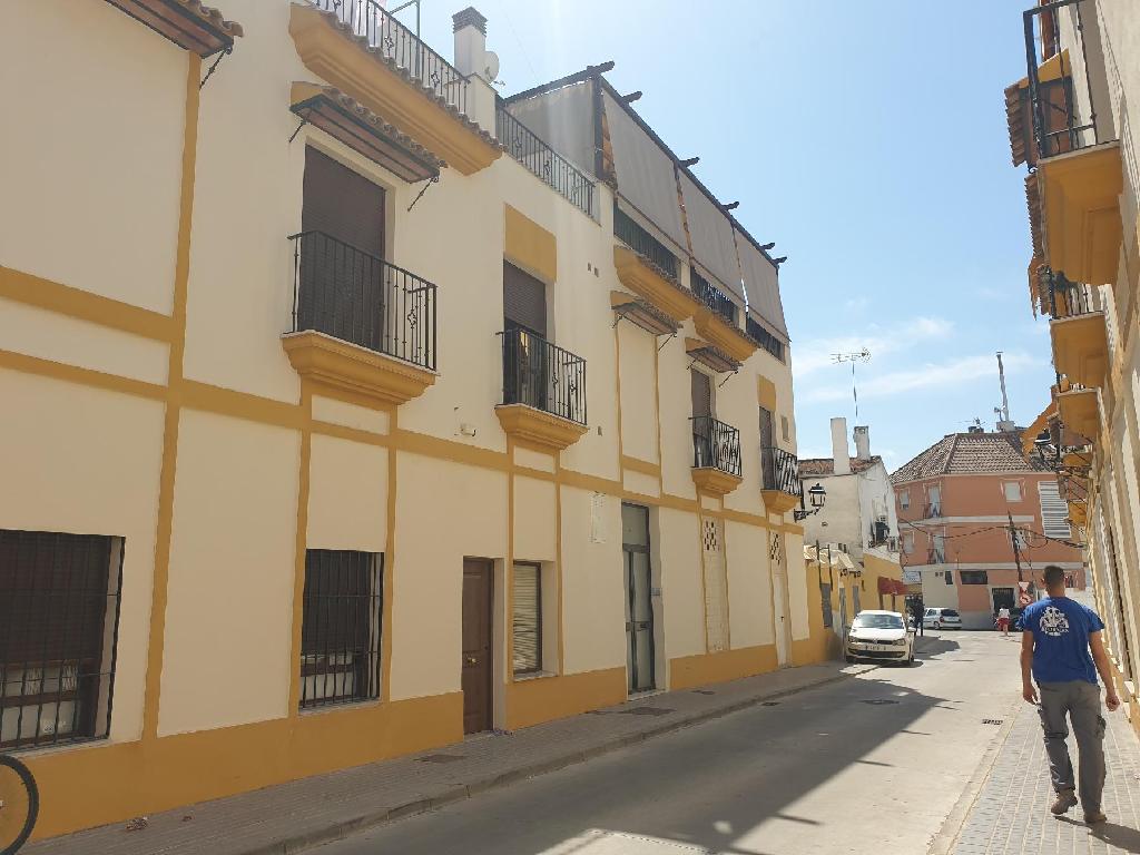 Palma Del Rio