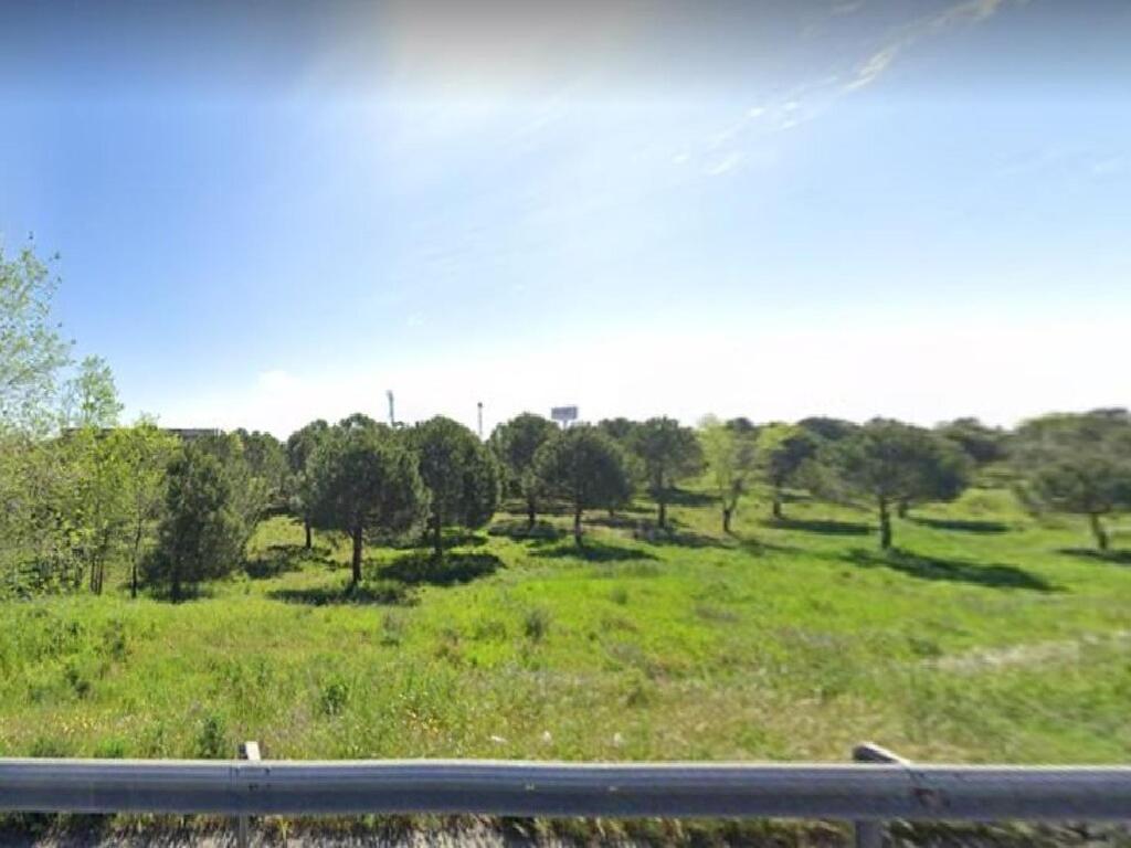 Las Rozas
