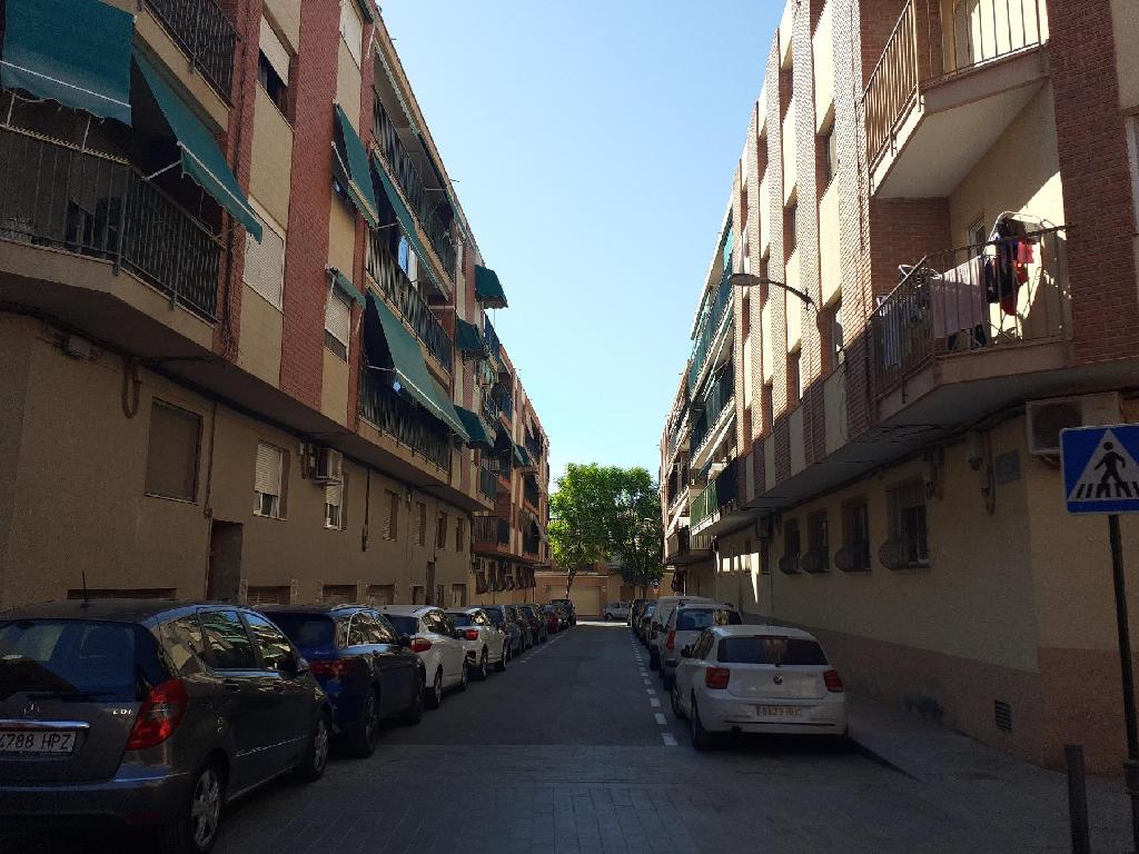 COLON  (San Vicente Raspeig)