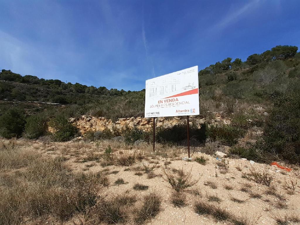 Roda De Bara