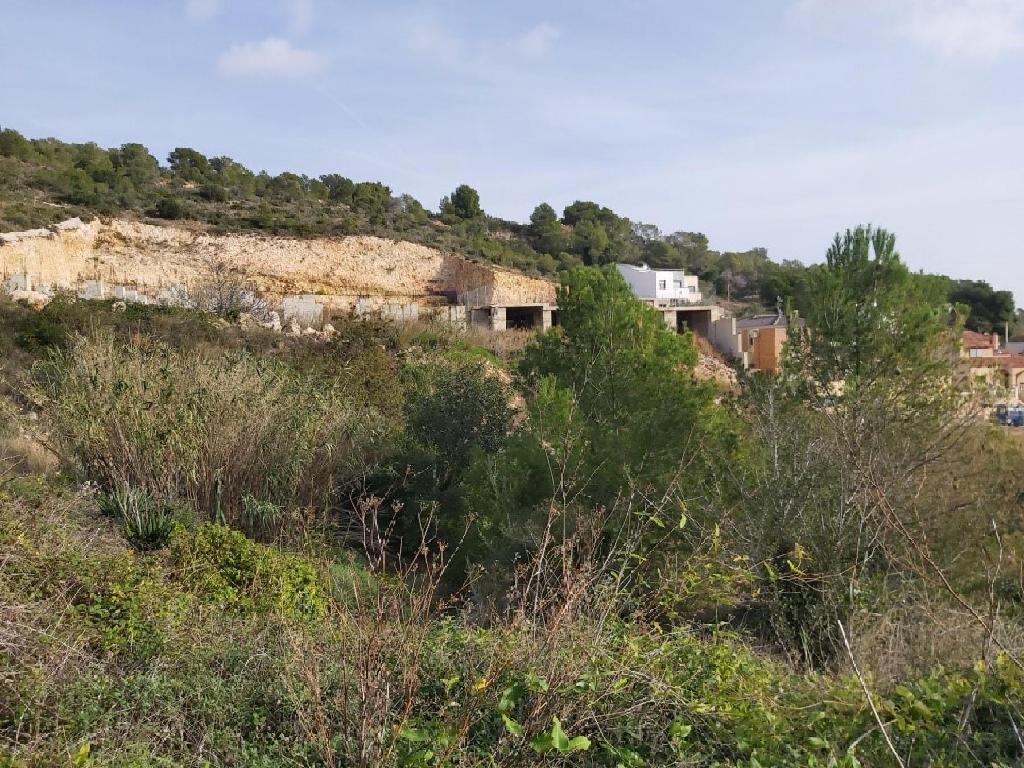 Roda De Bara