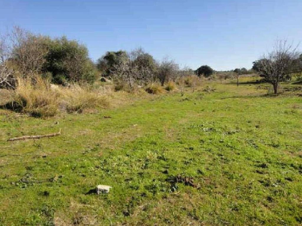 Esparragosa De La Serena